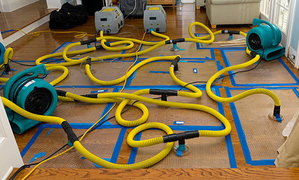 Professional Structural Drying And Dehumidification technician working in Leroy, TX